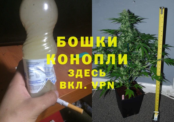 амф Аркадак