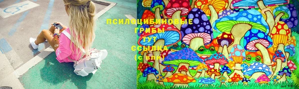амф Аркадак