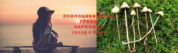 крисы Арсеньев